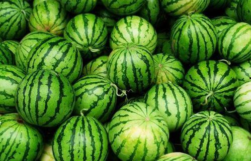 今日吃瓜每日必吃,每日必吃,揭秘娱乐圈新鲜事